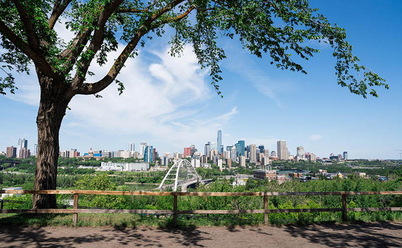 The Edmonton and Area Market Right Now: What August’s Numbers Actually Tell Buyers and Sellers