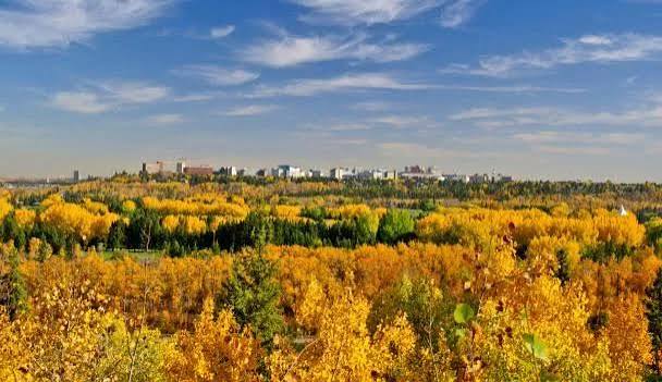 Sherwood Park Real Estate Market Update: 2026 Home Prices and Trends